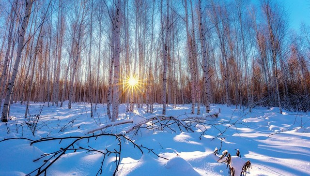 地方新闻精选 | 漠河54年以来再现-50℃极寒天气 山东132家国有A级景区免首道门票