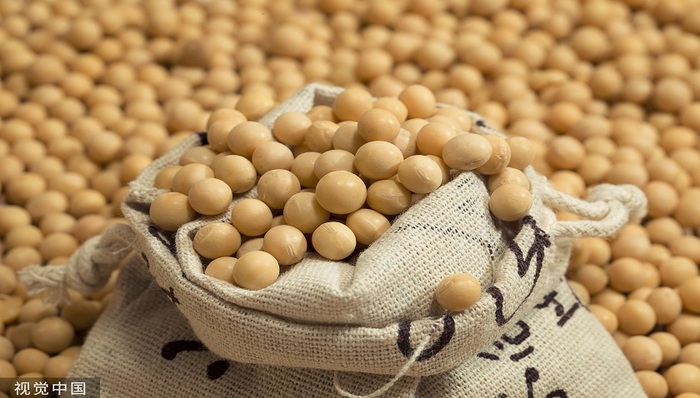 IPO雷达 | 被大豆“绑架”的人造肉供应商索宝股份：毛利率下滑，应收账款飙升