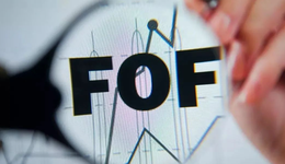 百亿FOF管理人大洗牌，仅六家上榜，首批个人养老金基金家底亮相