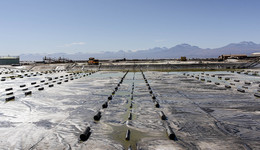 锂矿龙头们去年盈利近千亿元，谁是“赚钱王”？