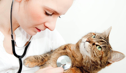 獨角獸新瑞鵬赴美IPO，誰是背后贏家？