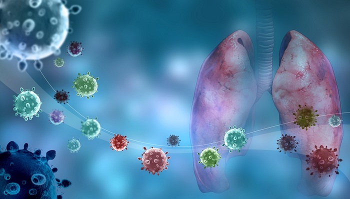 中疾控：目前未见CH.1.1变异株的致病性增强，国内累计监测24例输入病例，未监测到本土病例