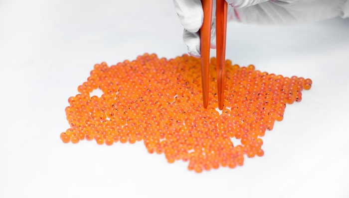 佳沃食品年度预亏超10亿，三文鱼业务成本提升侵蚀利润