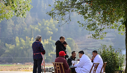 雷曉燕：如何理解和應對中國的“高齡少子化”趨勢？