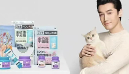 代言費動輒千萬，胡歌都來了：明星扎堆寵物圈撈金，有的直接下場當股東