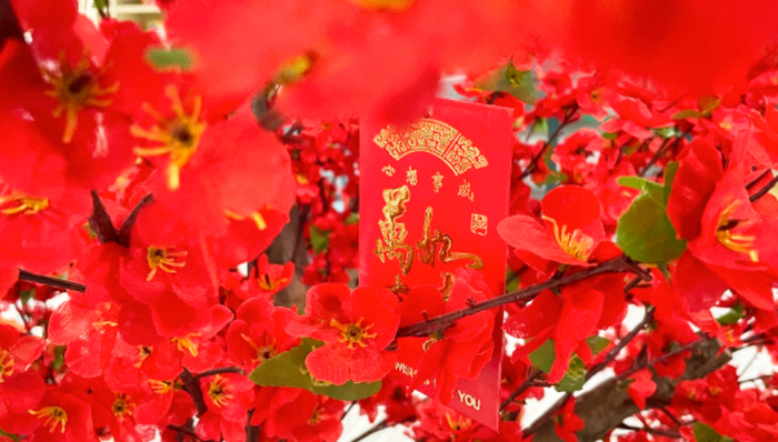 互联网大厂,红包大战,流量,春晚,