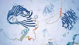 从基因测序到蛋白质测序，生物测序到底为了什么？