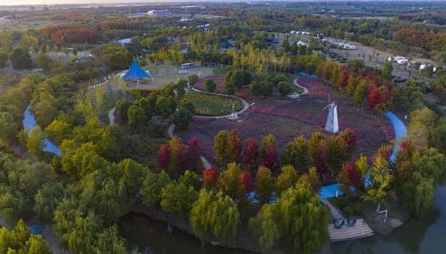 直通部委 | 我国新增白马湖等国际重要湿地18处 “春风行动”已输送务工人员40万人