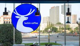 瑞幸咖啡單月狂飆開店近500家，只因這類收入快速增長