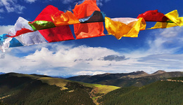 围猎斯诺威锂矿，宁德时代赢了