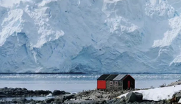 “报复性出游”来袭，携程飞猪们准备好了吗？