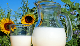 走高端、拓边界，伊利、飞鹤、蒙牛们会在2023年迎来反转吗？