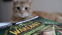 暴雪停服，一個(gè)中國(guó)玩家獲得停服退款有多難？