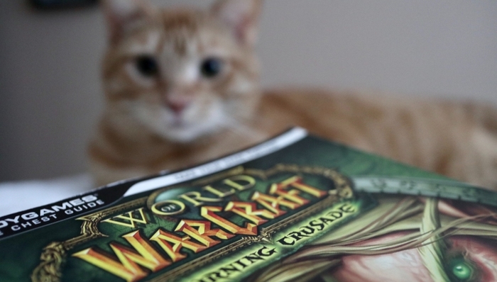 动视暴雪,网易,代理权,停服,玩家退费,消费者权益,虚拟资产