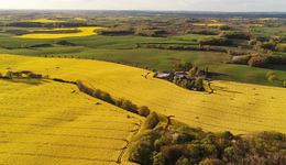 中国农业“独角兽”展望，为何这几家企业值得关注？