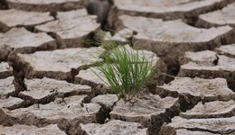 國(guó)家氣候中心：2023年氣候年景總體偏差，極端天氣氣候事件呈多發(fā)強(qiáng)發(fā)態(tài)勢(shì)