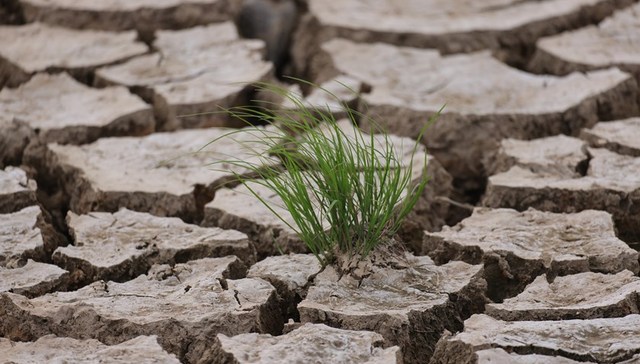 国家气候中心：2023年气候年景总体偏差，极端天气气候事件呈多发强发态势
