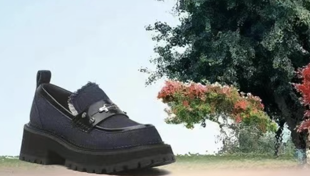 红蜻蜓,鞋业,财报,投资,品牌