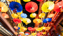 马蜂窝等待春天