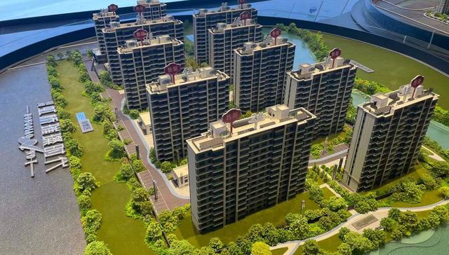 【特写】四人抢一套房，上海新房市场重新火起来了