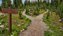 Lululemon向左，Hoka向右