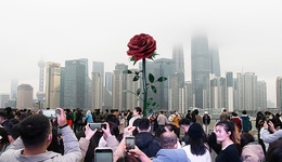 【圖集】巨型玫瑰亮相各地，花卉產(chǎn)業(yè)熱戀情人節(jié)