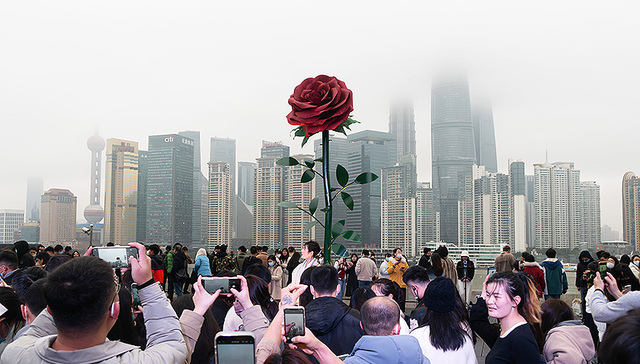 【图集】巨型玫瑰亮相各地，花卉产业热恋情人节