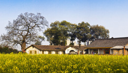 2022年農(nóng)民收入結(jié)構(gòu)：工資性收入占41.96%，財產(chǎn)凈收入占2.53%