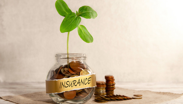 定目标！2023年中央一号文件6提“保险”：优化“保险+期货”、鼓励发展渔业保险