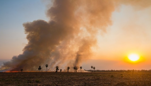 除了氯乙烯，俄亥俄州脱轨列车还装有哪些危化品？
