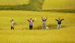 中央一號文件明確底線，如何確保不發(fā)生規(guī)模性返貧？