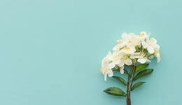 11位實控人之一溫子榮去世，溫氏股份：對生產(chǎn)經(jīng)營不會產(chǎn)生重大影響