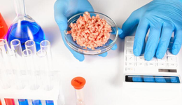 麦当劳推出“人造肉”版麦乐鸡，概念炒作会否卷土重来？