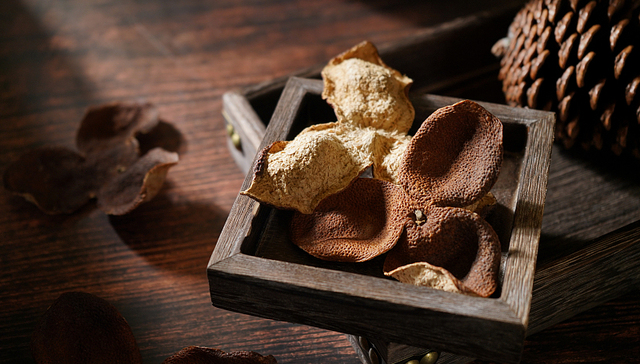 《狂飙》里高启强爱的陈皮到底在高贵什么？