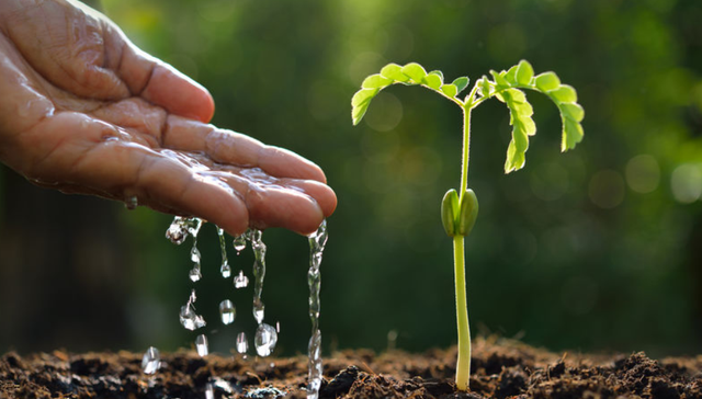 荃银高科2022年营收净利双增，开拓西北棉花种子市场版图