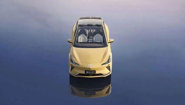 汽车,中国市场,消费趋势,新能源汽车,电动汽车,罗兰贝格