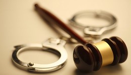 又一位中國工程院院士被查，曾獲評“中國釀酒大師”