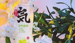 元气森林面临增长挑战，换“气”能否再续气泡水神话？