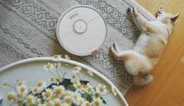 “割韭菜机器人”石头科技