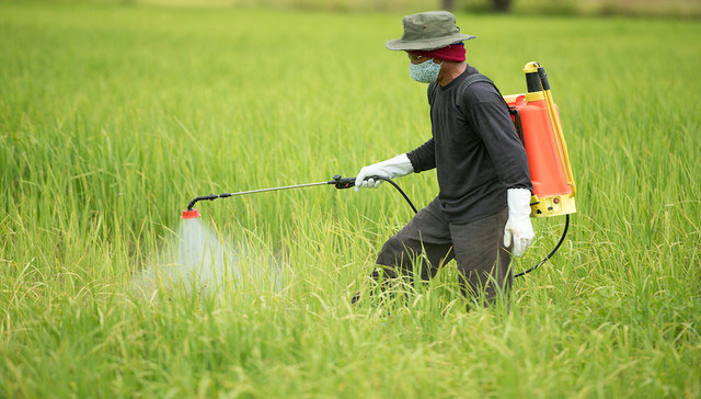 草甘膦价格高位运行，和邦生物借除草剂红利营收首破百亿