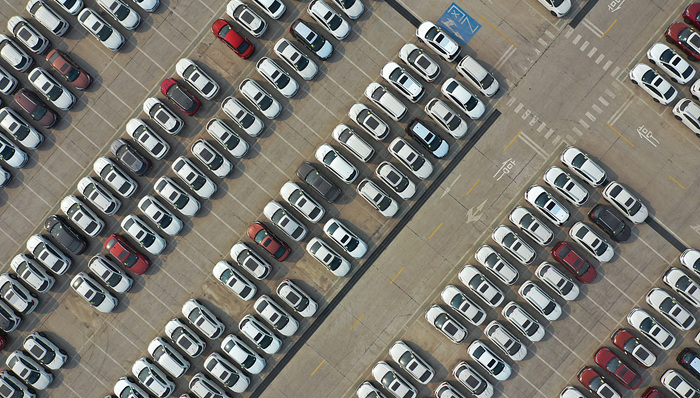 1月豪华车上险量