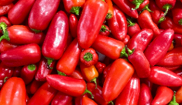 新國字號文件為化肥產(chǎn)業(yè)奠定基調，8000億市場發(fā)展不斷提速