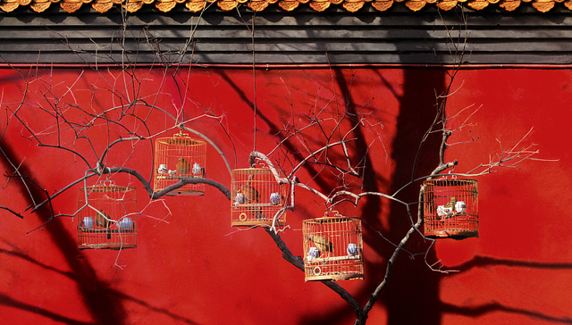 沉默——至少跟说话和写作一样——也是一种回答 | 一周新书推荐