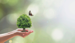 2022年上海環(huán)境空氣質(zhì)量指數(shù)優(yōu)良率為87.1%，累計(jì)推廣新能源汽車約100萬(wàn)輛