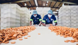 “零食邊角料”：三無(wú)產(chǎn)品扎堆，誰(shuí)在做大冤種？