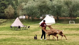 63岁老头开兰博基尼种地，700多万人围观，它成了流量密码