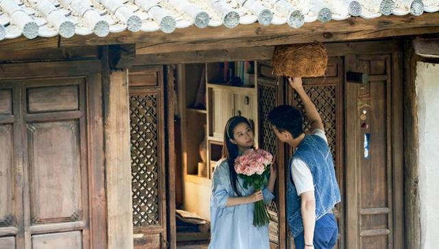 网剧,消费趋势,现代偶像剧