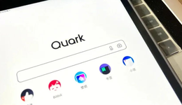 夸克成长的烦恼：被抄袭、盗用