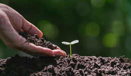 隆平高科继续收购种业公司，频繁搞投资短期借款压顶，去年业绩预计大亏