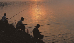 60后相親局，“見面先驗資，沒有退休金，免談愛情”